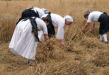 ZARANDEADOS, PERO NO VENCIDOS