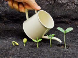 SEMILLAS QUE GERMINAN