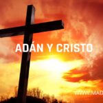 DOS ACCIONES DE CAMBIO