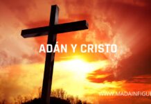 DOS ACCIONES DE CAMBIO