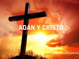 DOS ACCIONES DE CAMBIO