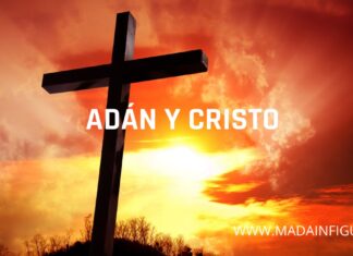 DOS ACCIONES DE CAMBIO