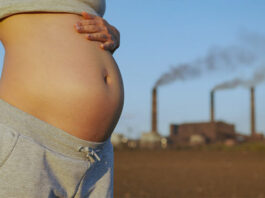 Contaminación y embarazo: lo que revela un estudio sobre autismo