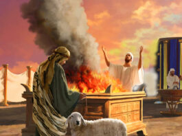 ¡DOS VERDADES INMERECIDAS!