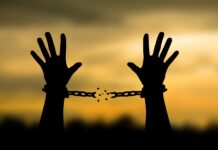 EL COSTO DE LA LIBERTAD