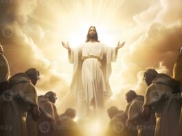 SIN LUGAR A DUDA REGRESARAS