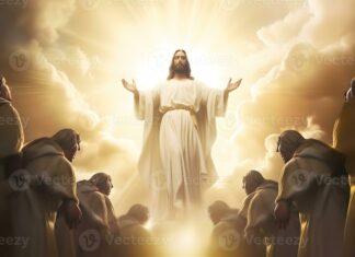 SIN LUGAR A DUDA REGRESARAS