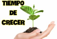 ES HORA DE CRECER