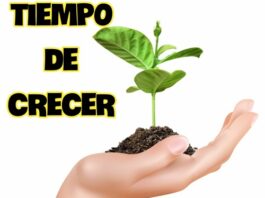 ES HORA DE CRECER