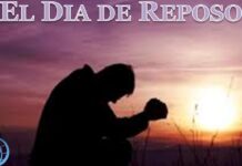 EL CREADOR DE LOS DÍAS