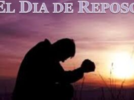 EL CREADOR DE LOS DÍAS