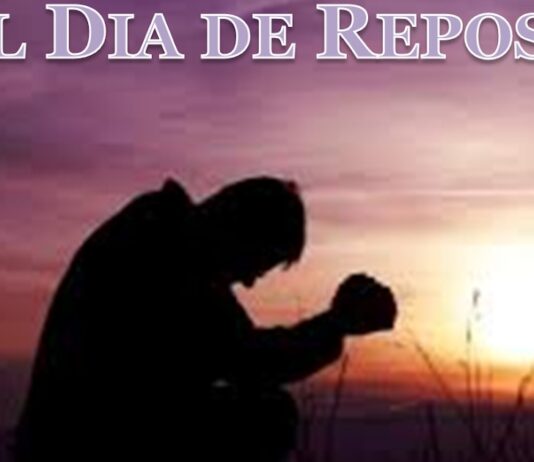 EL CREADOR DE LOS DÍAS