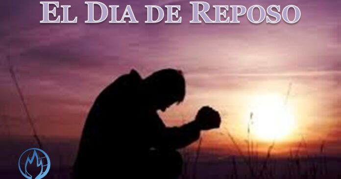 El creador de los dias