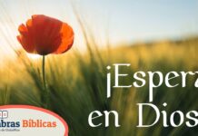 PORQUE NADIE DETENDRA SUS PROMESAS