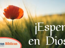 PORQUE NADIE DETENDRA SUS PROMESAS