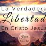 MÁS LIBRE QUE NUNCA