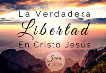 MÁS LIBRE QUE NUNCA