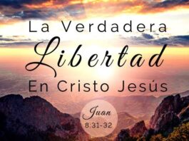 MÁS LIBRE QUE NUNCA