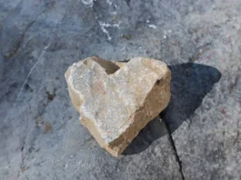 DUROS DE CORAZÓN