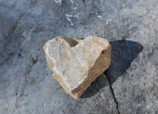 DUROS DE CORAZÓN