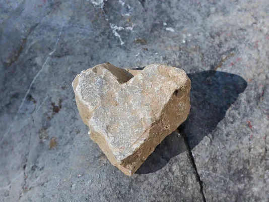 DUROS DE CORAZÓN