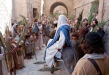 ECOS DE UNA VIDA EN DIOS.