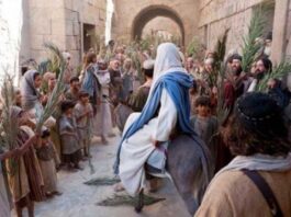 ECOS DE UNA VIDA EN DIOS.