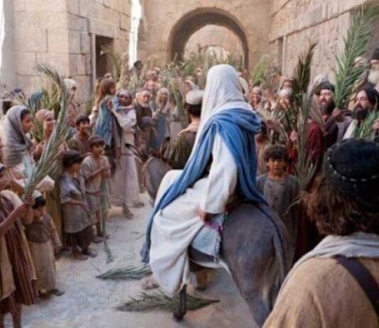 ECOS DE UNA VIDA EN DIOS.
