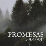 PROMESAS VACIAS